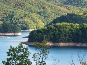 Invasive Mussels Pose Threat to Great Lakes Ecosystems
