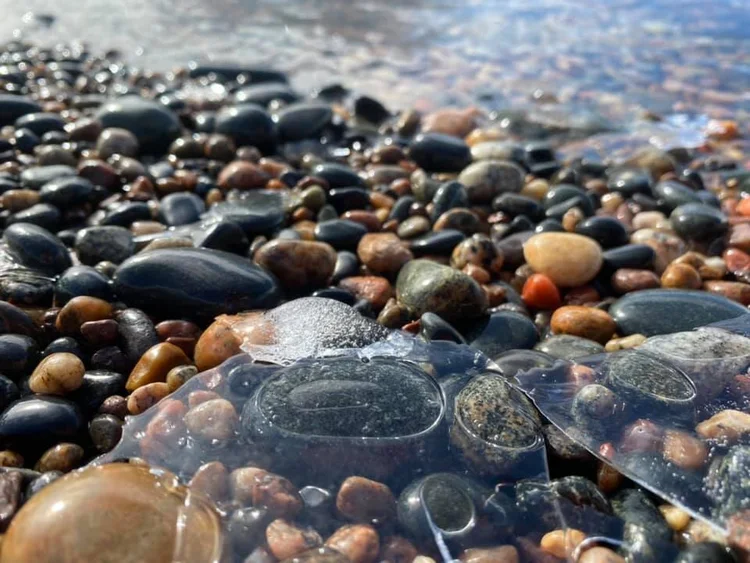 Seasons of the Upper Greats